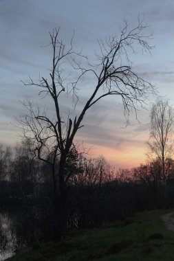 Şehir parkında gün batımı