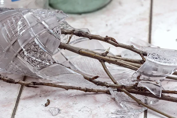 Branches dans un vase cassé — Photo