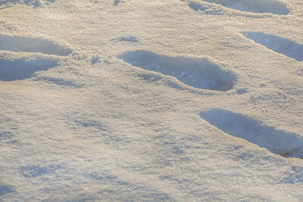 Echte Menschliche Fußabdrücke Tiefschnee Sonnigen Wintertagen — Stockfoto