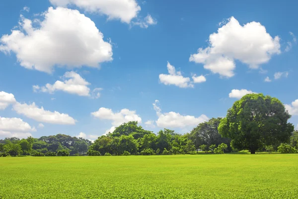 Green park outdoor with blue sky cloud — Stock Photo, Image