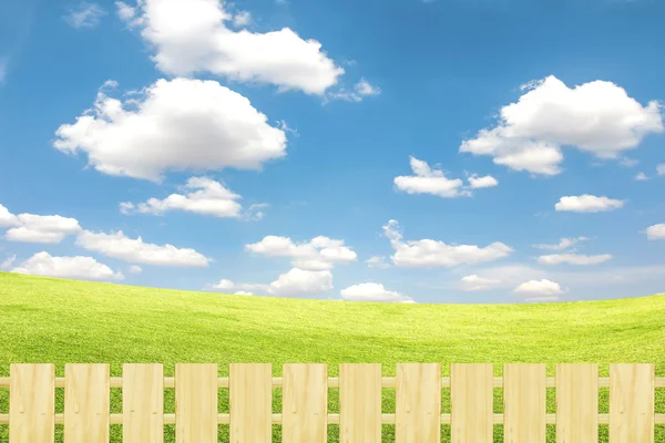 Green field with blue sky and clouds — Stock Photo, Image