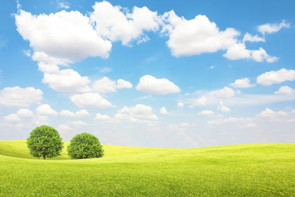 Green field and tree with blue sky and clouds — Stock Photo, Image