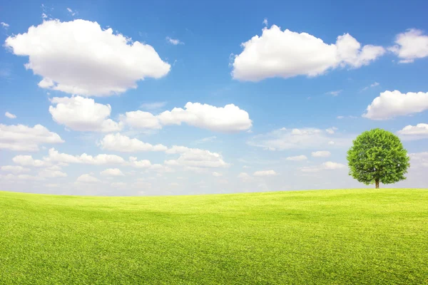 Green field and tree with blue sky and clouds — Stock Photo, Image