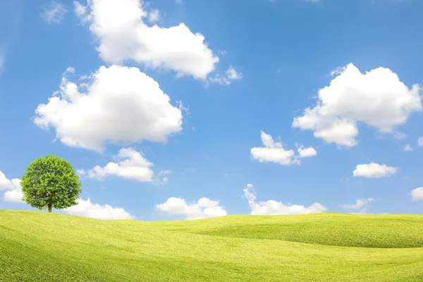 Green field and tree with blue sky and clouds — Stock Photo, Image