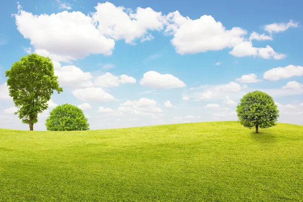 Green field and tree with blue sky and clouds — Stock Photo, Image