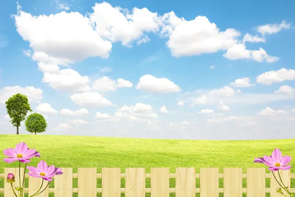 Green field with blue sky and clouds — Stock Photo, Image