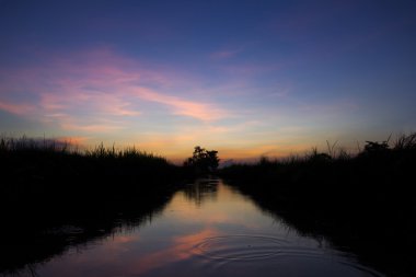 sunset bulvarında twilight ile nehir ve çim siluet