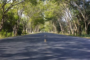 yeşil yol üzerinde şehirler arasındaki bağlantı