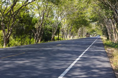 yeşil yol üzerinde şehirler arasındaki bağlantı