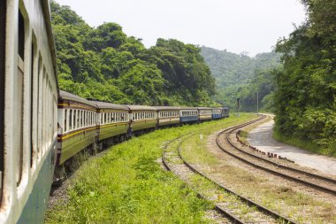dağ ve orman içinden demiryolu