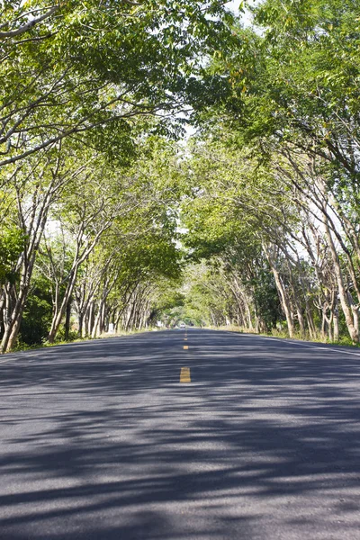 Green Road sobre la conectividad entre ciudades — Foto de Stock