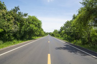 yol ve yeşil orman