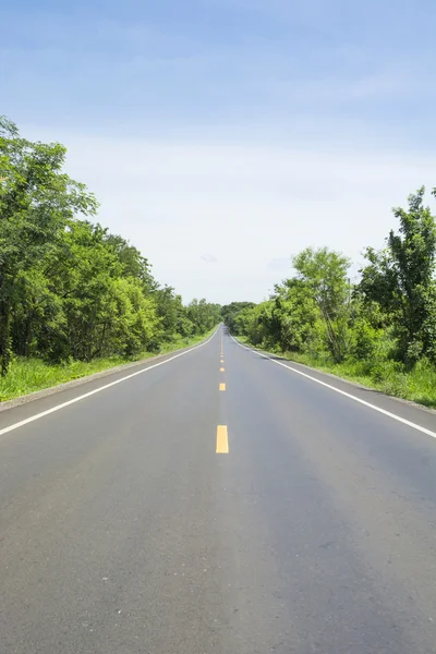 Carretera y bosque verde — Foto de Stock