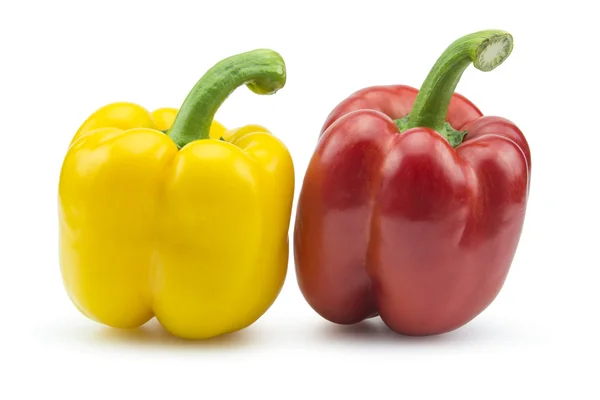 Paprika peper geïsoleerd op witte achtergrond — Stockfoto