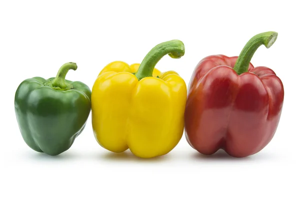 Paprika peppar isolerad på vit bakgrund — Stockfoto