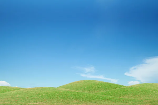 Campo de grama verde e céu azul — Fotografia de Stock