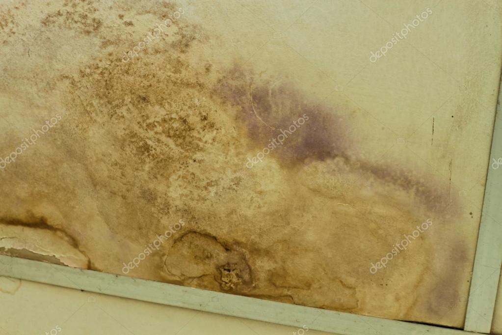 Water Stains And Mold On The Ceiling Stock Photo