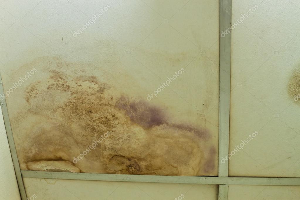 Water Stains And Mold On The Ceiling Stock Photo