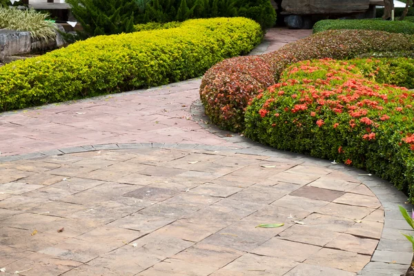 Il sentiero nel giardino. — Foto Stock