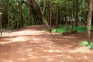 kırsal toprak yol