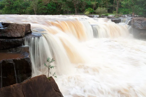 Cascada — Foto de Stock