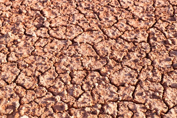 Cracked soil ground — Stock Photo, Image