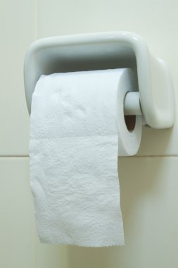rulo tuvalet kağıdı tuvalet duvarında asılı