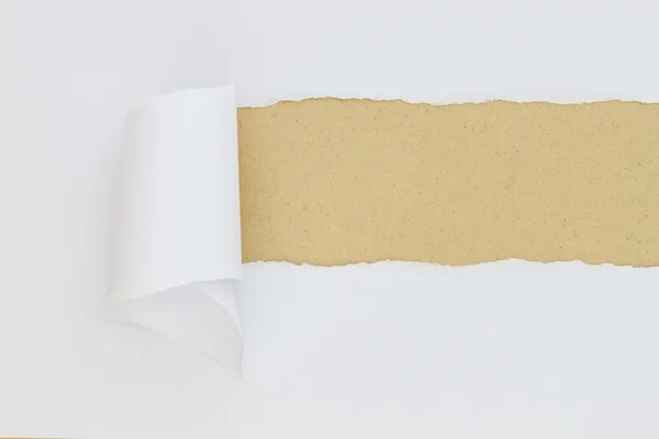 Papel rasgado com espaço para texto — Fotografia de Stock