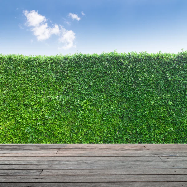 Trä styrelse i gräsplan och sky — Stockfoto