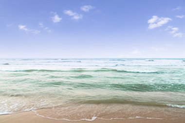 plaj ve tropikal deniz