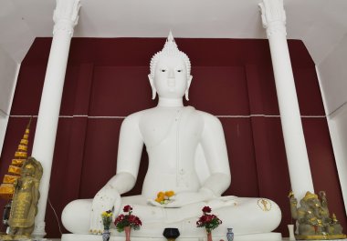 Beyaz Buda