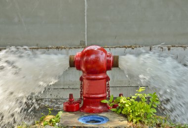 Kırmızı yangın hidrant fışkıran su