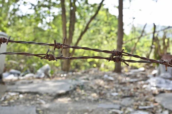 Rusty barbed wire — Stock Photo, Image