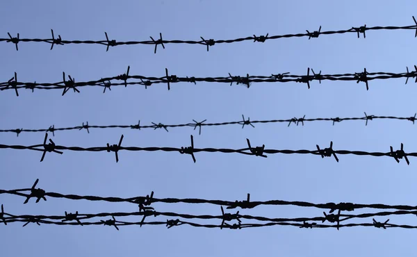 Barbed wire silhouette — Stock Photo, Image