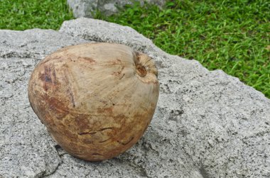 Kurutulmuş Hindistan cevizi