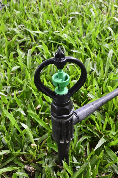 Sprinkler on green grass — Stock Photo, Image