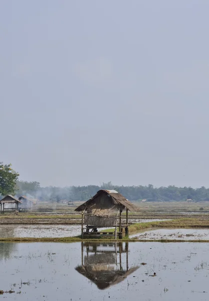 Cabaña de bambú — Foto de Stock