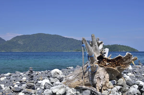 Pebble and tree stump on island, Lipe island — Stock Photo, Image