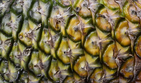 Owoce ananasy — Zdjęcie stockowe