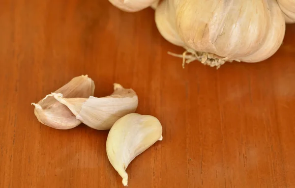 Garlics — Stock fotografie