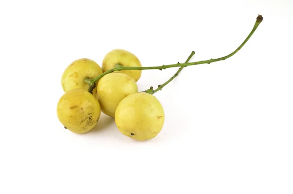 Uvas birmanesas isoladas — Fotografia de Stock