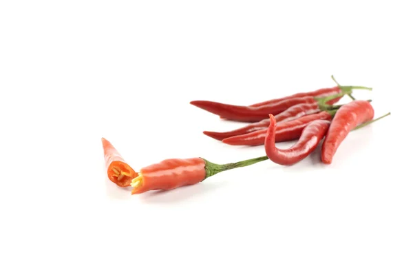 Red hot chili peper geïsoleerd op een witte — Stockfoto