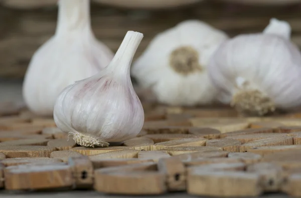 Garlic — Stock Photo, Image