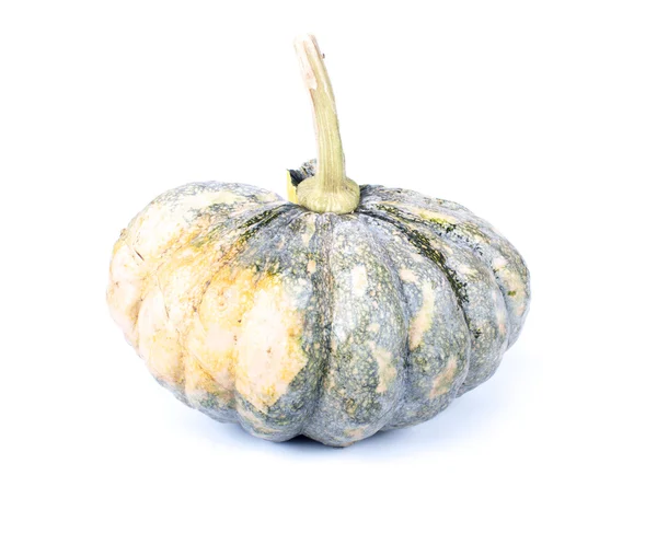 Zucca verde su sfondo bianco — Foto Stock