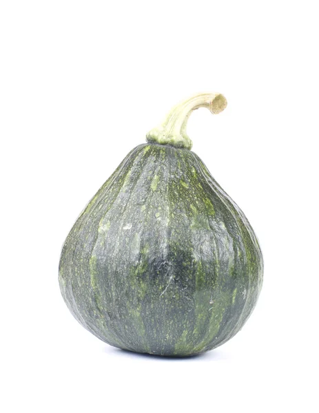 Green Pumpkin on white background — Stock Photo, Image