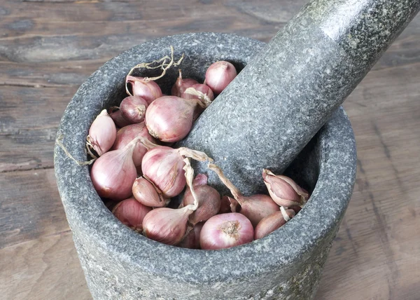 Onion in mortar — Stock Photo, Image