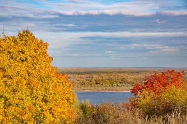 Renkli yaprakları olan renkli sonbahar manzarası