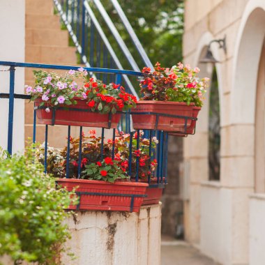 Bir sürü çiçek saksısı, çiçek ve yeşil bitkiler. Süs Bahçesi.