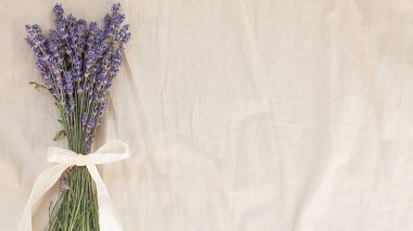 Beyaz keten arka planda mor eflatun çiçekleri. Üst manzara, düz düzen, kopyalama alanı. En küçük arkaplan kavramı. 