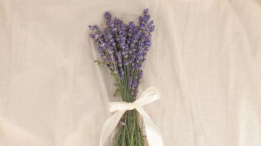 Beyaz keten arka planda mor eflatun çiçekleri. Üst manzara, düz düzen, kopyalama alanı. En küçük arkaplan kavramı. 